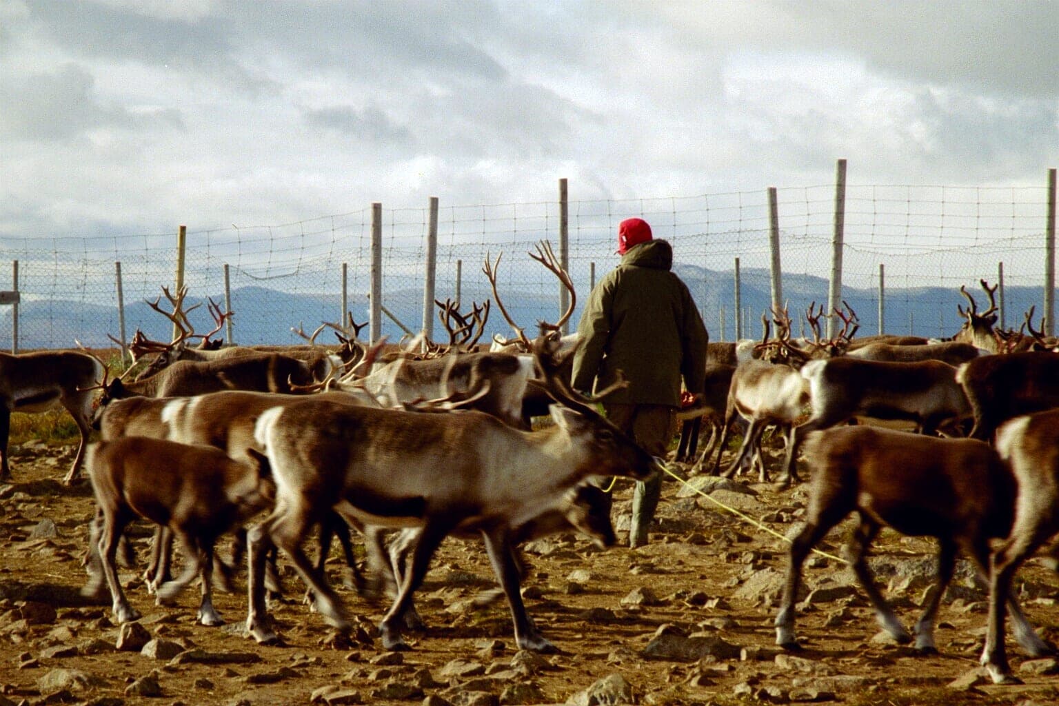 La minería abre un conflicto político sobre los derechos sami en Suecia